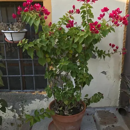 La Casa Tra I Vigneti Bed & Breakfast *