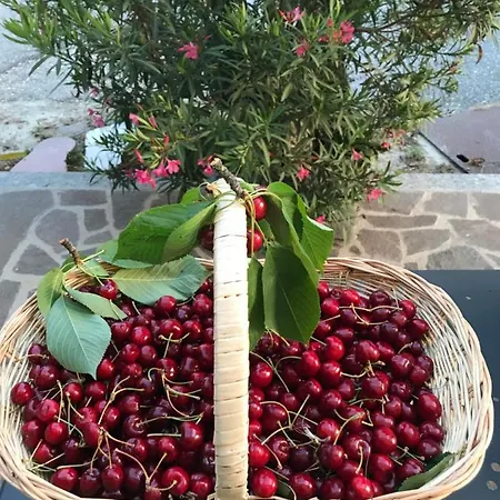 La Casa Tra I Vigneti *