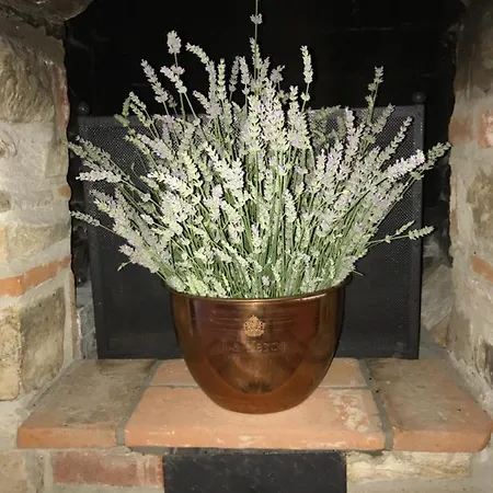 La Casa Tra I Vigneti Bed & Breakfast Montecalvo Versiggia